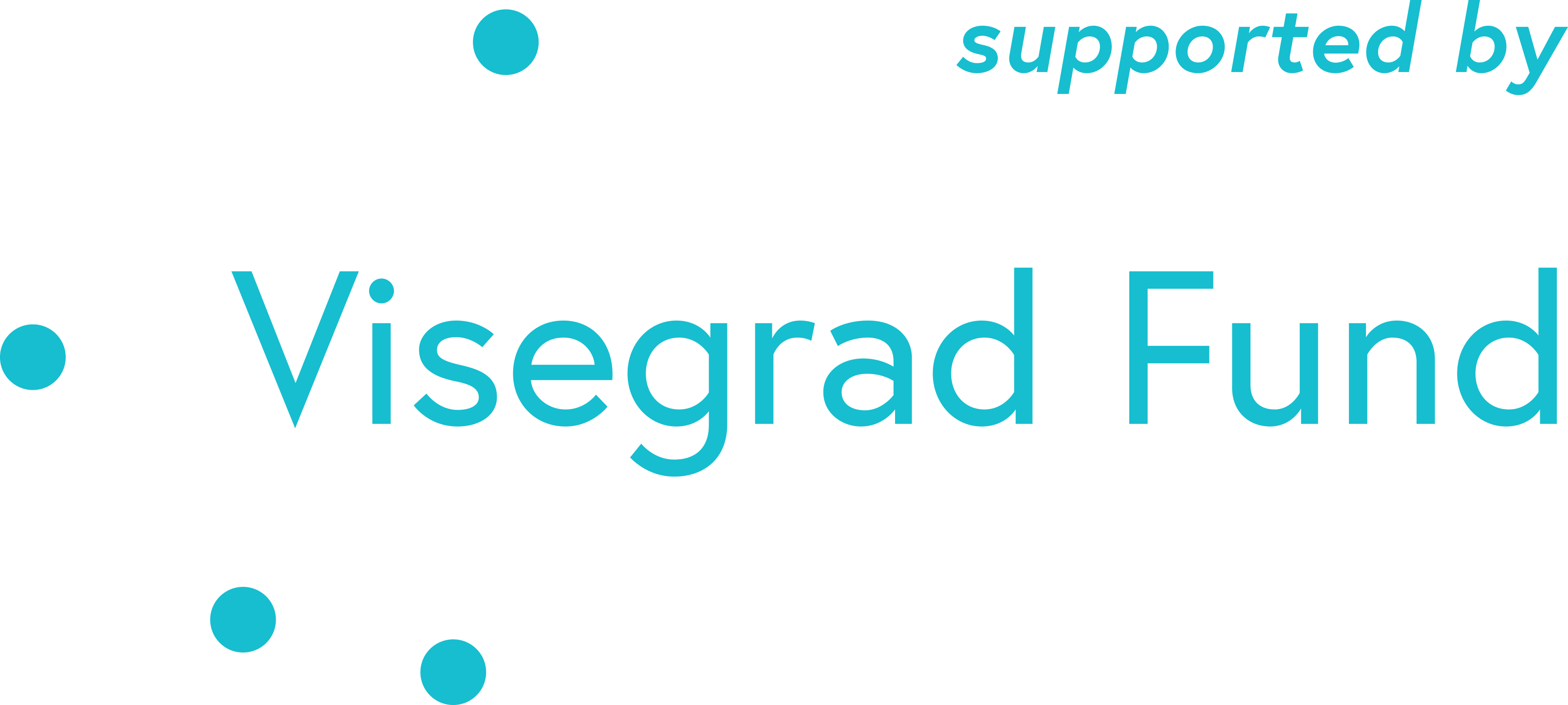 visegrad_fund_logo_supported-by_blue_png